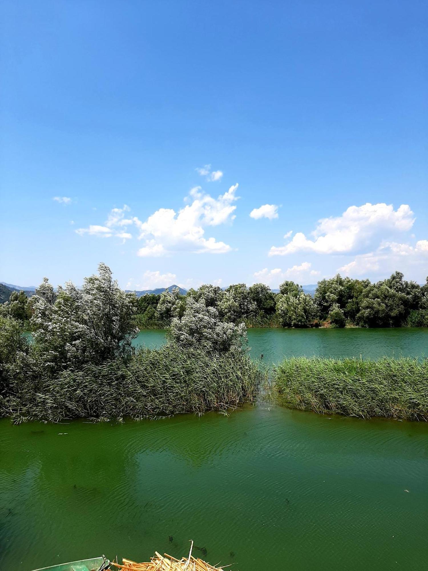 Skadar Lake House Virpazar Exterior foto